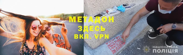 шишки Верея